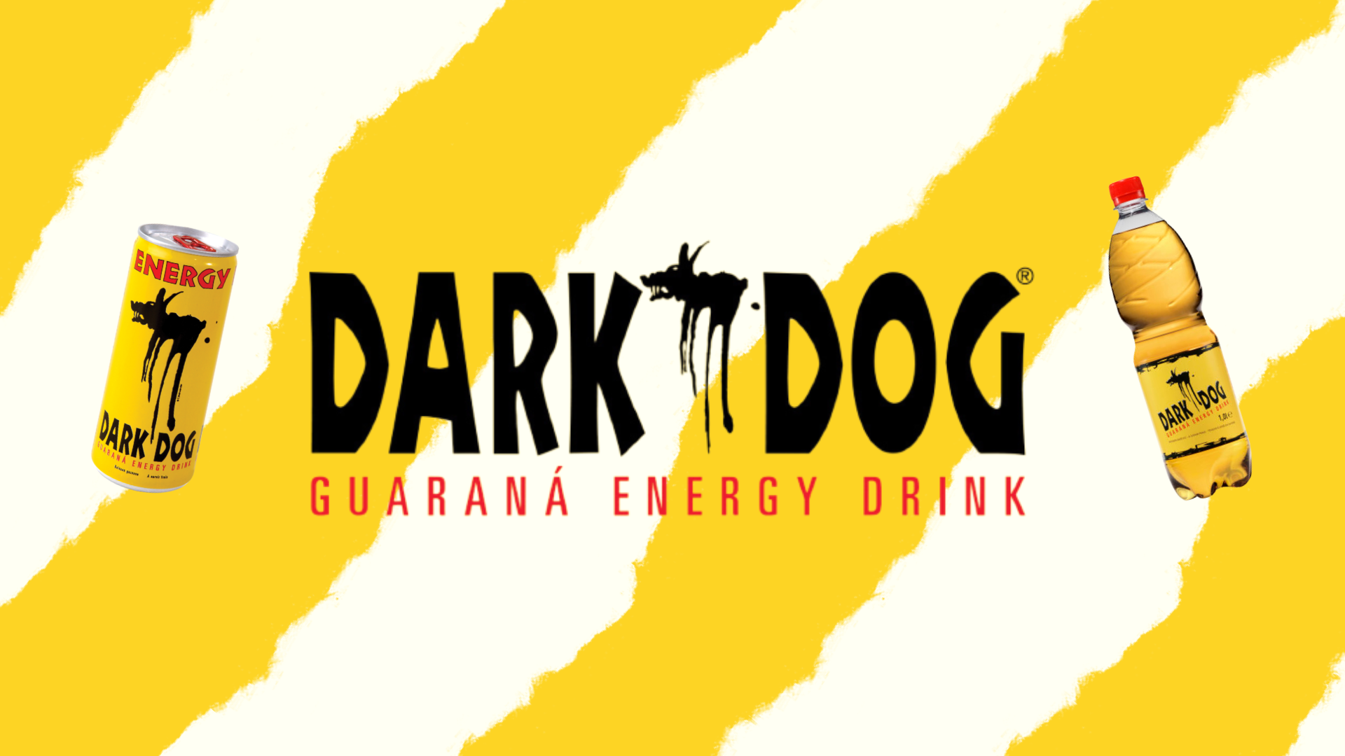 dark-dog-more-energy-more-life-casas